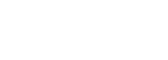 Belago technology solutions in practice